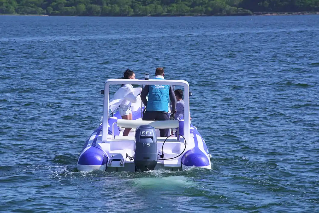 Изображение товара 58423