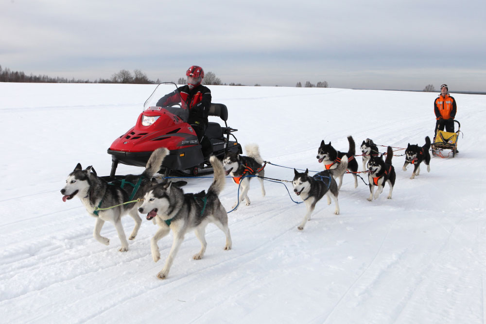 Изображение товара 41367