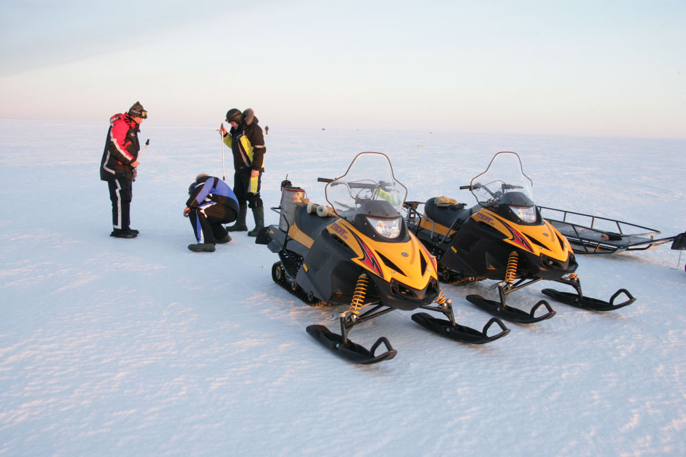 Изображение товара 41294