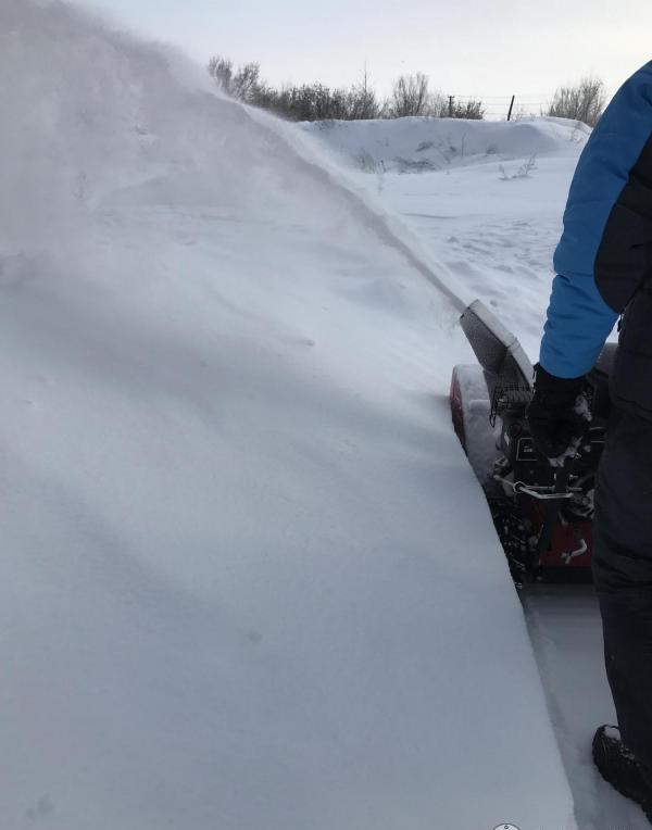 Изображение товара 67832