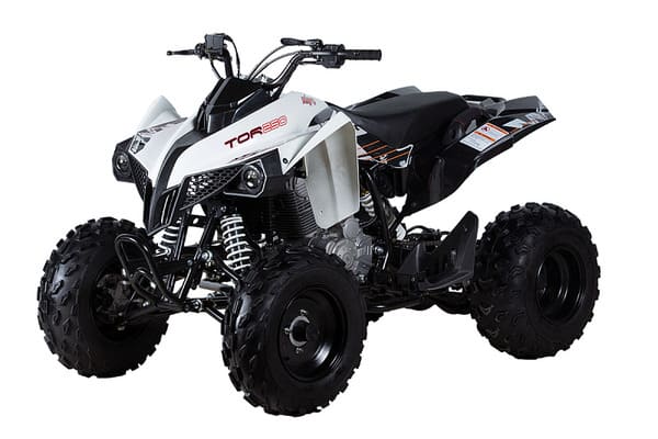 Изображение товара 83098