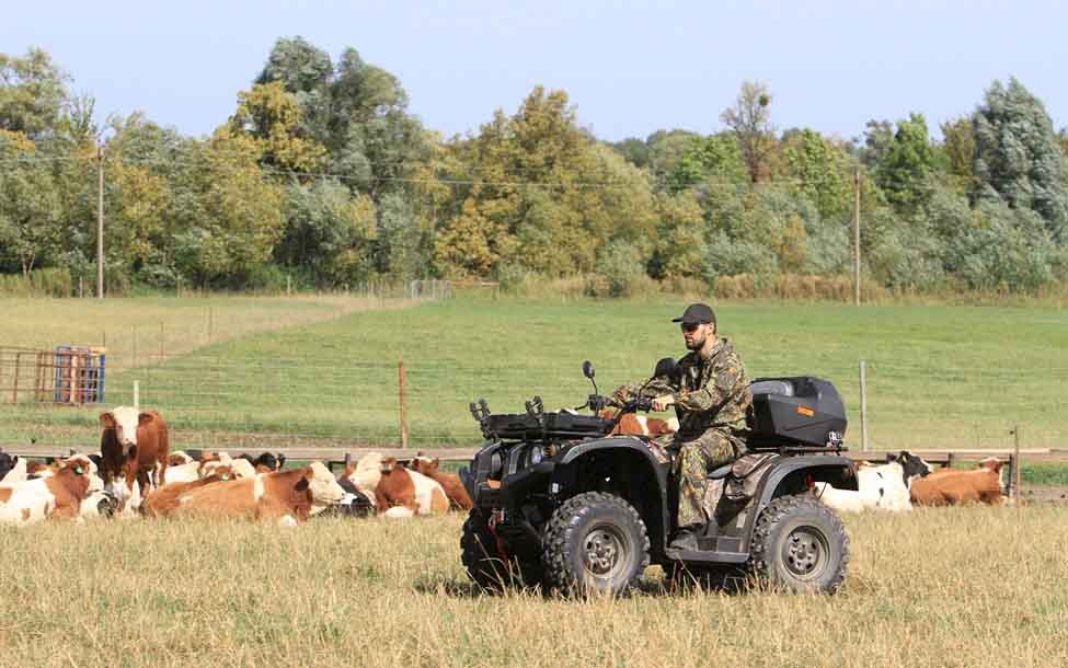 Изображение товара 82836