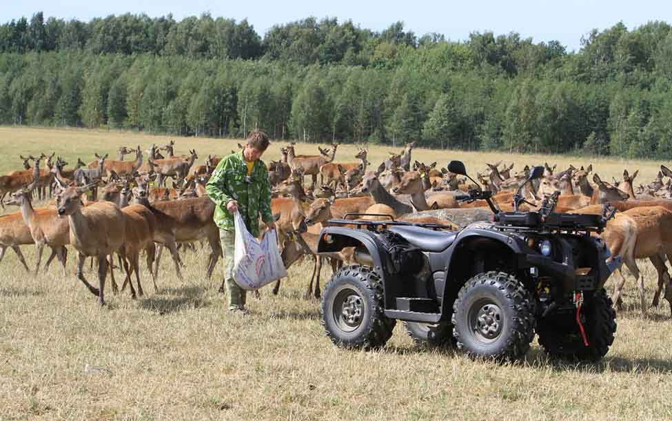 Изображение товара 82835