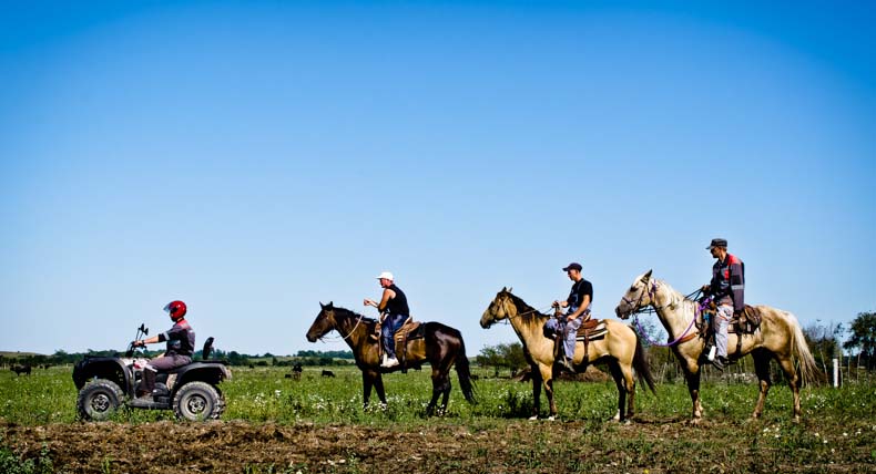 Изображение товара 82831