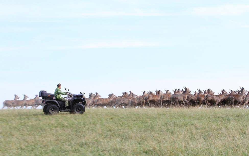 Изображение товара 82834