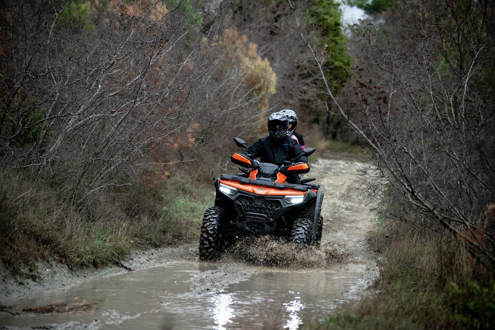 Изображение товара 116111