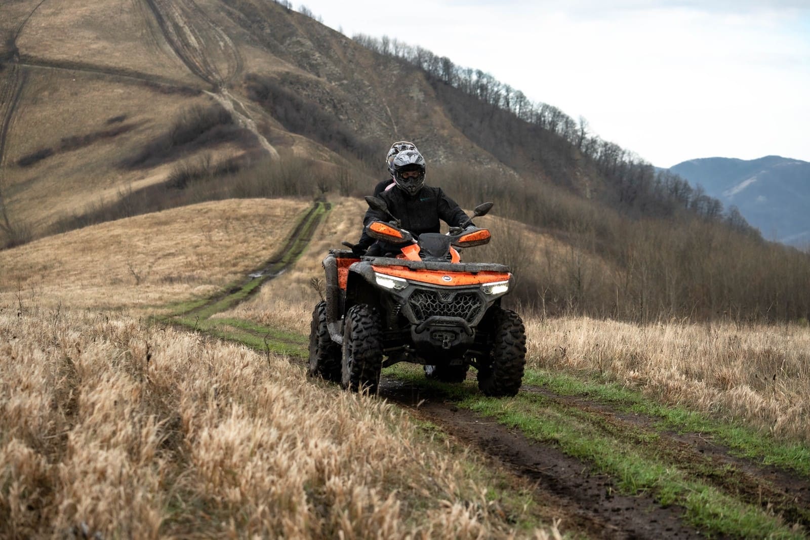 Изображение товара 116109