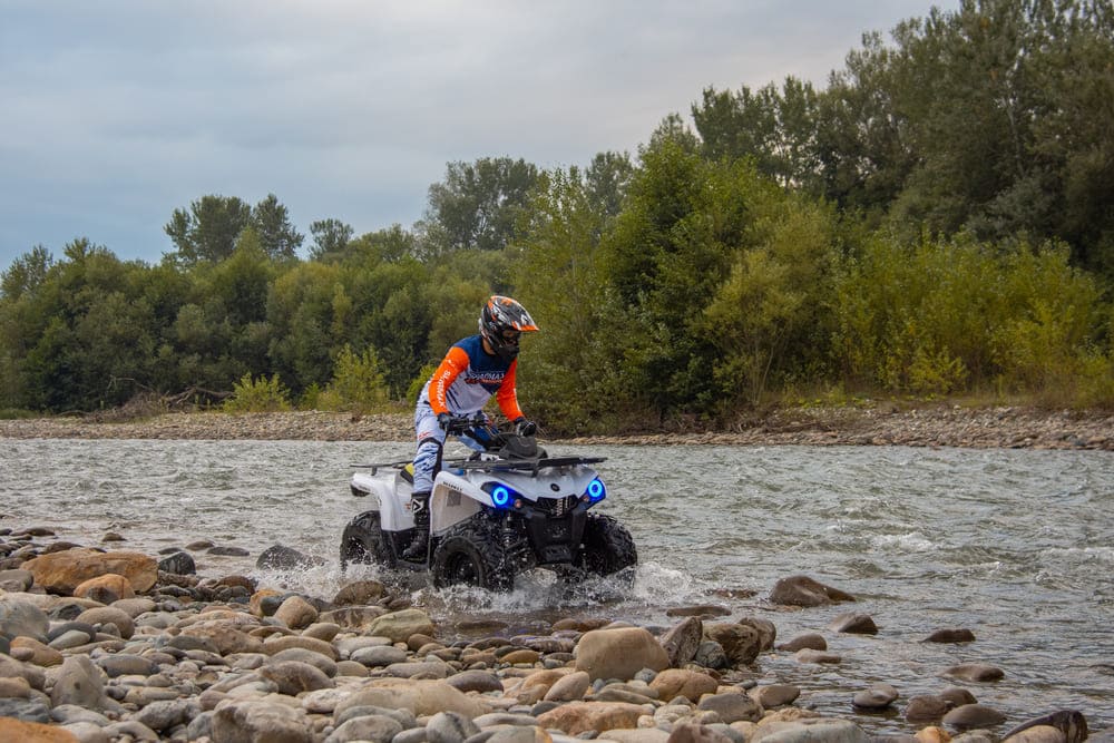 Изображение товара 119861