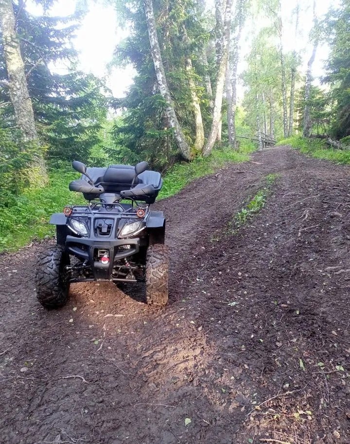 Изображение товара 117474