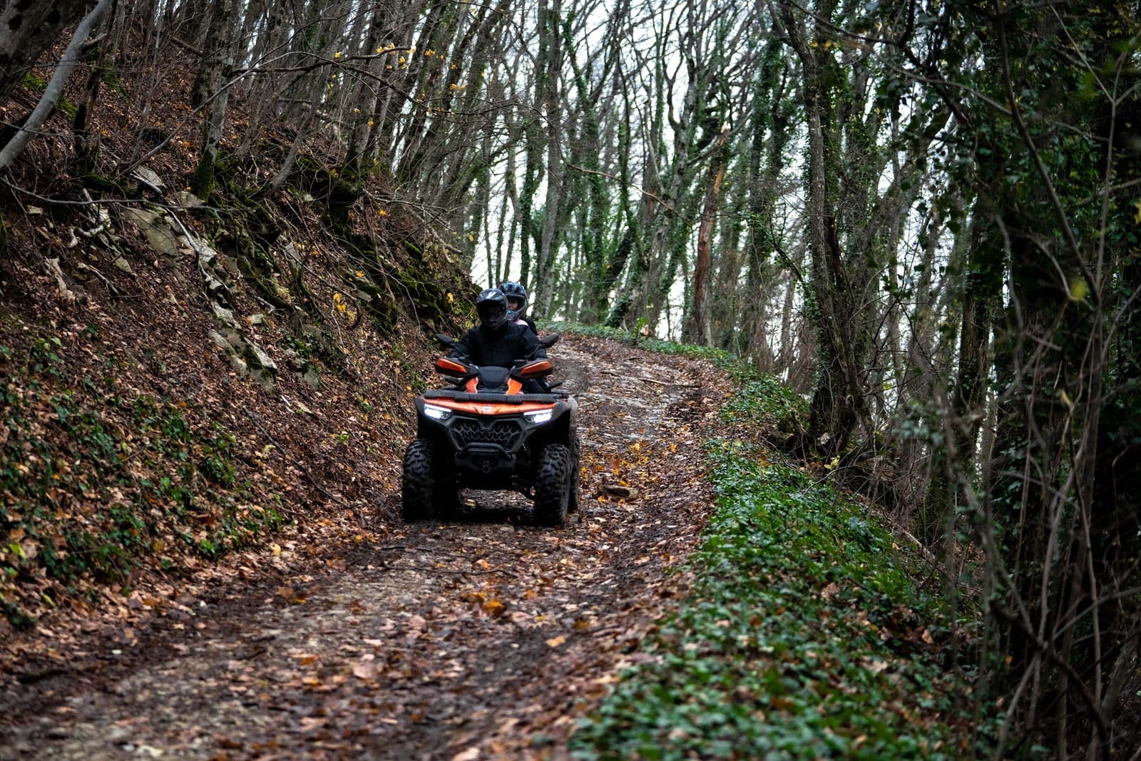 Изображение товара 116110