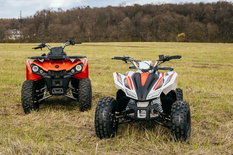 Изображение товара 119770