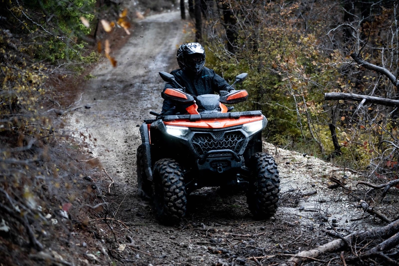 Изображение товара 116103