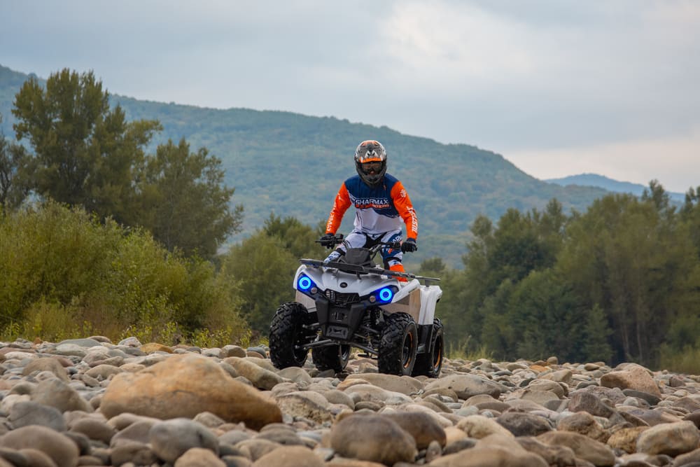 Изображение товара 119856