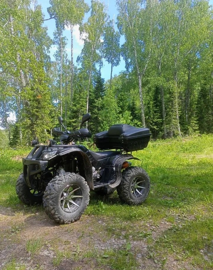 Изображение товара 117472