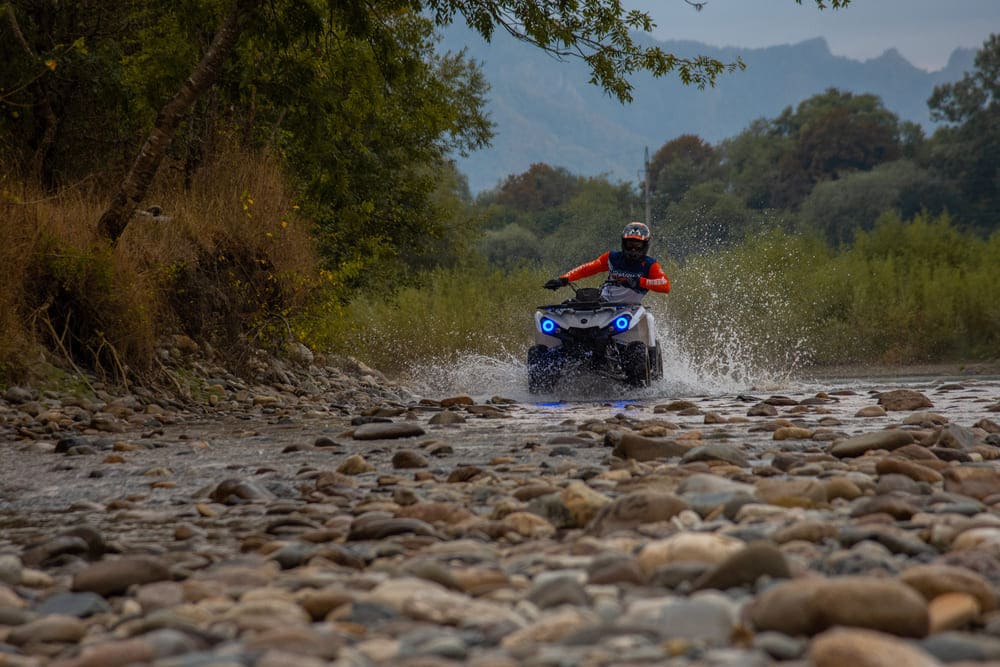 Изображение товара 119858