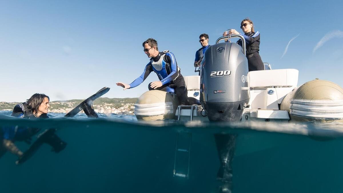 Изображение товара 140846