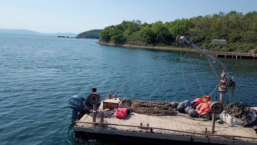 Изображение товара 151113