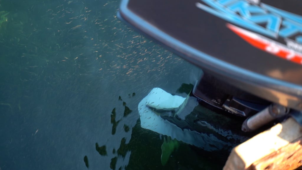 Изображение товара 151111