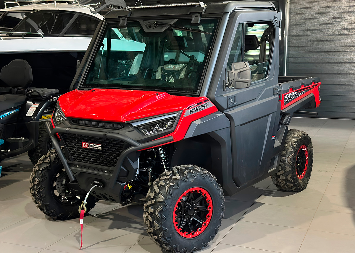 Купить Багги АОДЕС Workcross 1000-3