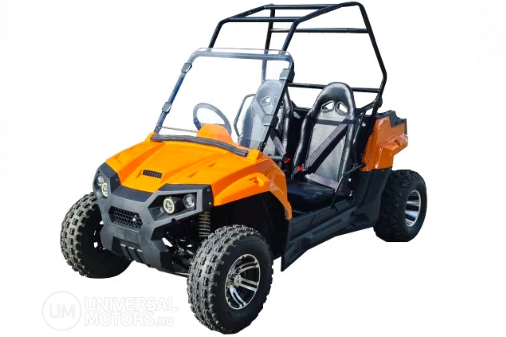 Купить Багги SCANMOTO Raptor