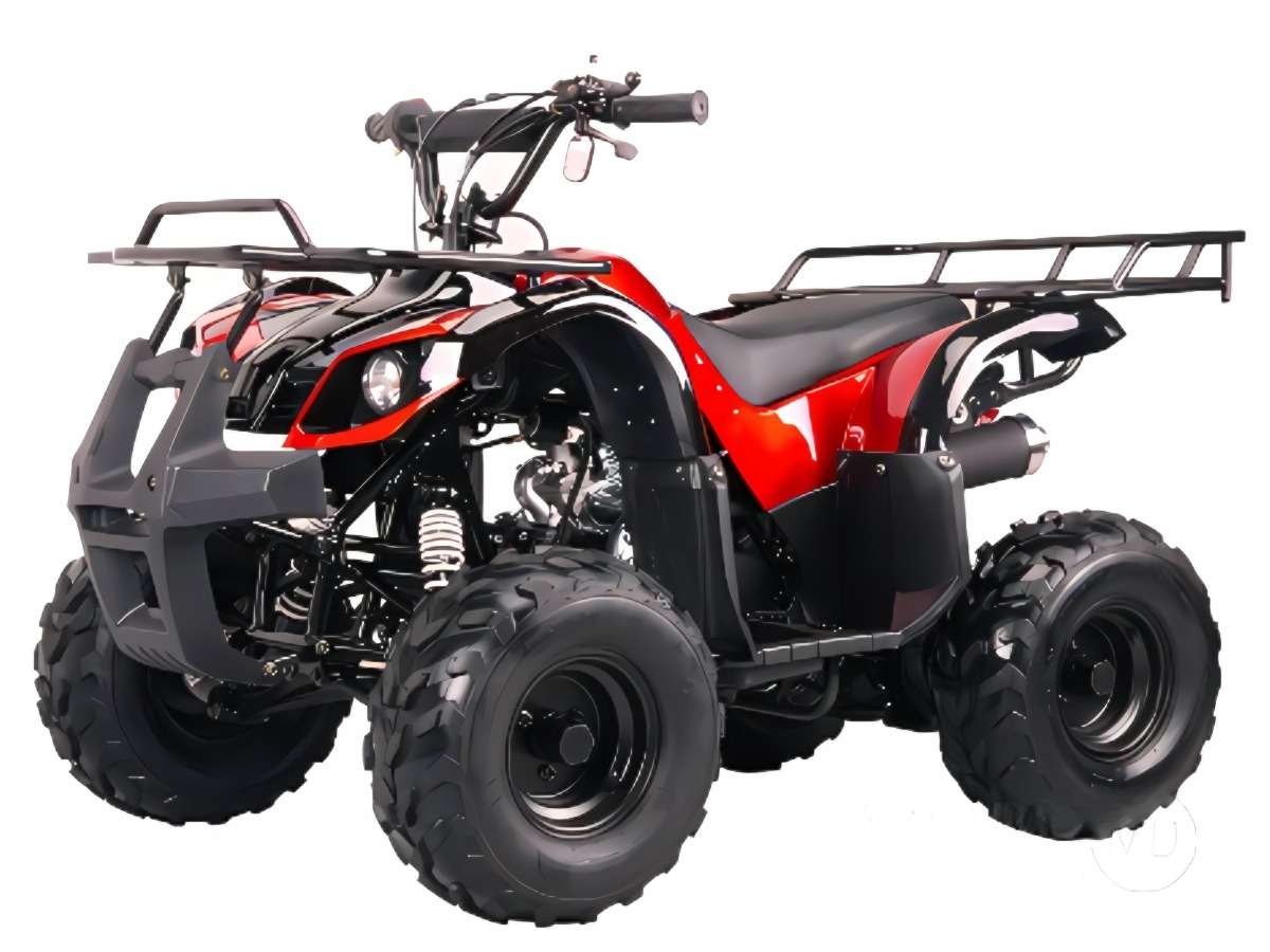 Купить Квадроцикл BISON Spider 110 red