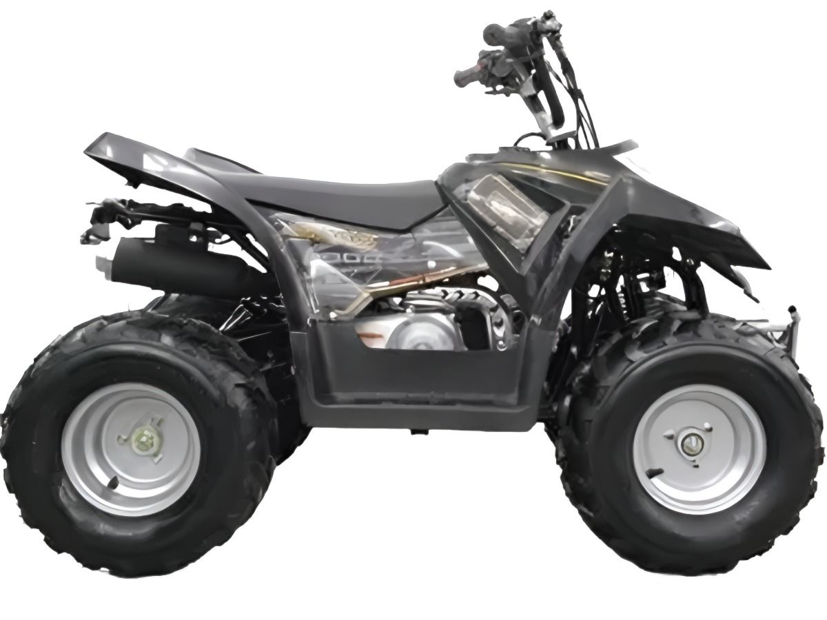 Купить Квадроцикл GOES G 90 XS