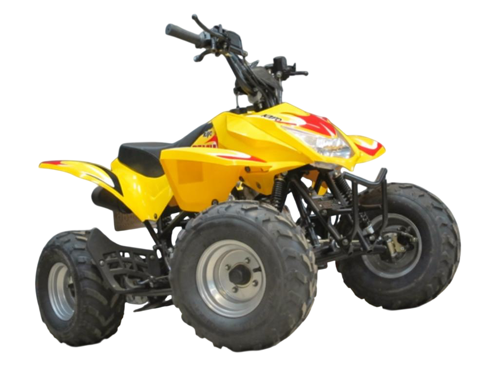 Купить Квадроцикл BURELLI Daytona B3 XXL