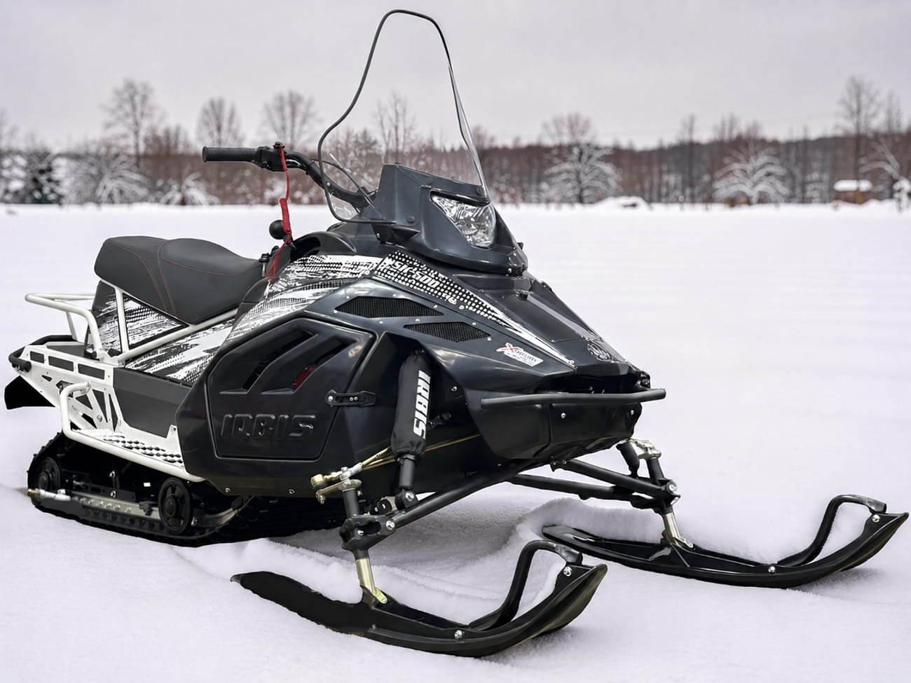 Купить Снегоход IRBIS Tungus 400 LE 25/26